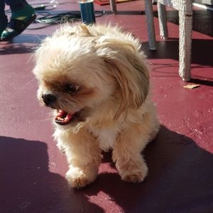 Meet your Posher, Favor